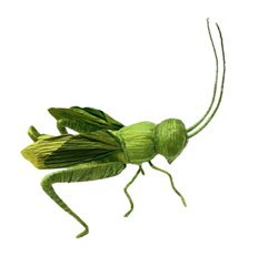 GRASSHOPPER 5.5" GREEN