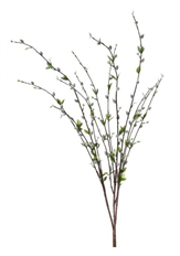 PUSSY WILLOW BUSH X12" 37" GRAY