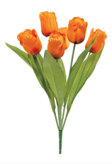 BUSH PARROT TULIP X6 19" ORANGE