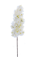CHERRY BLOSSOM 39" CREAM