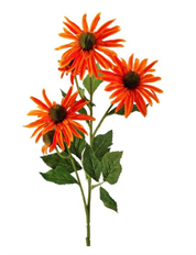 ECHINACEA X3 29" ORANGE