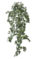 IVY BUSH FROSTED 51" GREEN