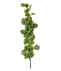 BELLS OF IRELAND 38" GREEN