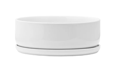DISHGARDEN 7.25X3" W/SAUCER WHT