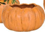 PUMPKIN 6.5" LT ORANGE