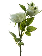 ROSE SPRAY 17" X3 CREAM