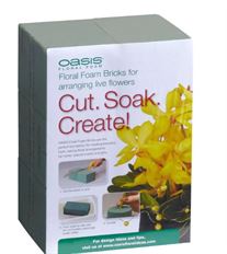 OASIS STANDARD FOAM BRICK 2/PK
