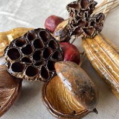 POD ASSORTMENT POLISHED 10/PK