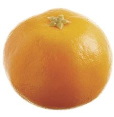 TANGERINE 2.2" ORANGE