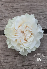 ROSE XPRESSION COTTON