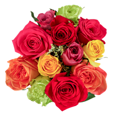LOLLIPOP DOZEN ROSE BOUQUET