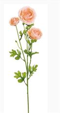 RANUNCULUS X3 25" PEACH