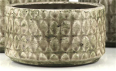 POTTERY DISHGARDEN 3.75X6.75" GRN