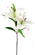 LILY GARDEN STEM W/ BUD X2 WHITE