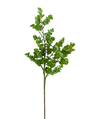 EUCALYPTUS 32" GREEN