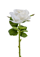 ROSE REAL TOUCH OPEN 17" WHITE