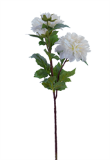 DAHLIA SPRAY 25" X4 WHITE