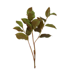 SALAL LEAF 32.5" BROWN