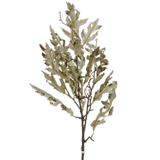 OAK LEAF SPRAY DRIED 31" OLIVE
