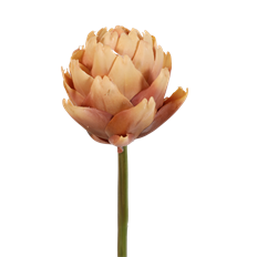 ARTICHOKE 23.5" LN BROWN