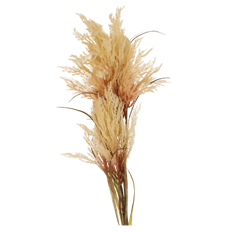 REED SPRAY 47" NATURAL