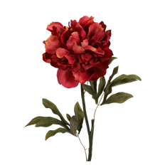 PEONY 24" DECOR CLARET