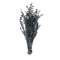 EUCALYPTUS BABY PRES BLUE 16OZ