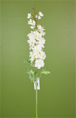 DELPHINIUM SPRAY 32&quot; WHITE