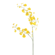 ORCHID DANCING SPRAY 31" YELLOW