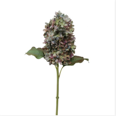 HYDRANGEA 21" LT BLUE GRN