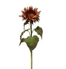 SALAL LEAF 19" BROWN