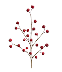 BERRY WILD RIVER 23.5" RED