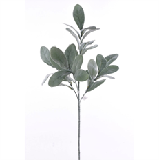 LAMBS EAR SPRAY 30" FROSTED GREEN