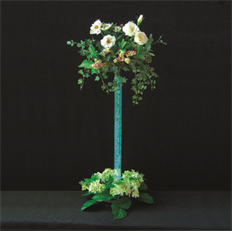 LED ACOLYTE E-RISER LED WRGB