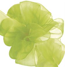 ASIANA 03 KIWI 100YD RIBBON