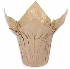 SPEED COVER 4.5" NAT KRAFT 25/PK