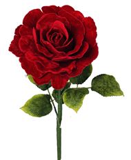 ROSE 25" RED VELVET HOLIDAY