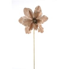 MAGNOLIA VELVET 20" CHAMP