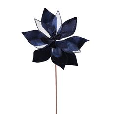 POINSETTIA SHEER 22" MIDNIGHT BLUE