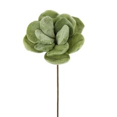 SUCCULENT VELVET 14" GREEN