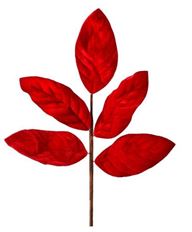 MAGNOLIA VELVET LEAF SPRAY 20" RED