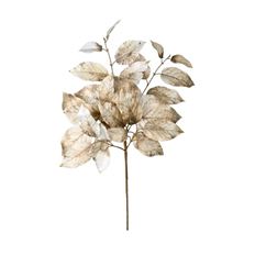 SALAL AUTUMN 20" CREAM/BROWN