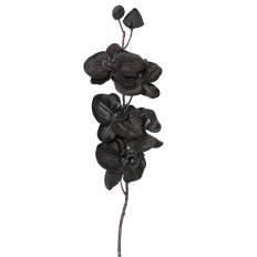 ORCHID PHALENOPSIS 29" BLACK