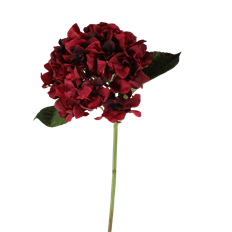 HYDRANGEA 18" BURGUNDY