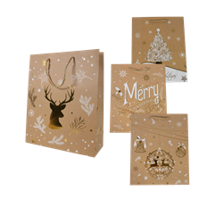 GIFT BAG LARGE 4 ASST