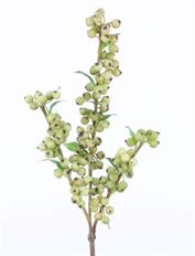 BERRY SPRAY 20" GREEN