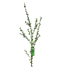 PLASTIC ILEX BERRY SPRAY 44" 12PK