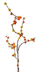 BITTERSWEET BRANCH 43" ORANGE