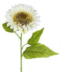 SUNFLOWER STEM 28" CREAM