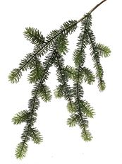 PINE SPRAY 44" CARIBOU